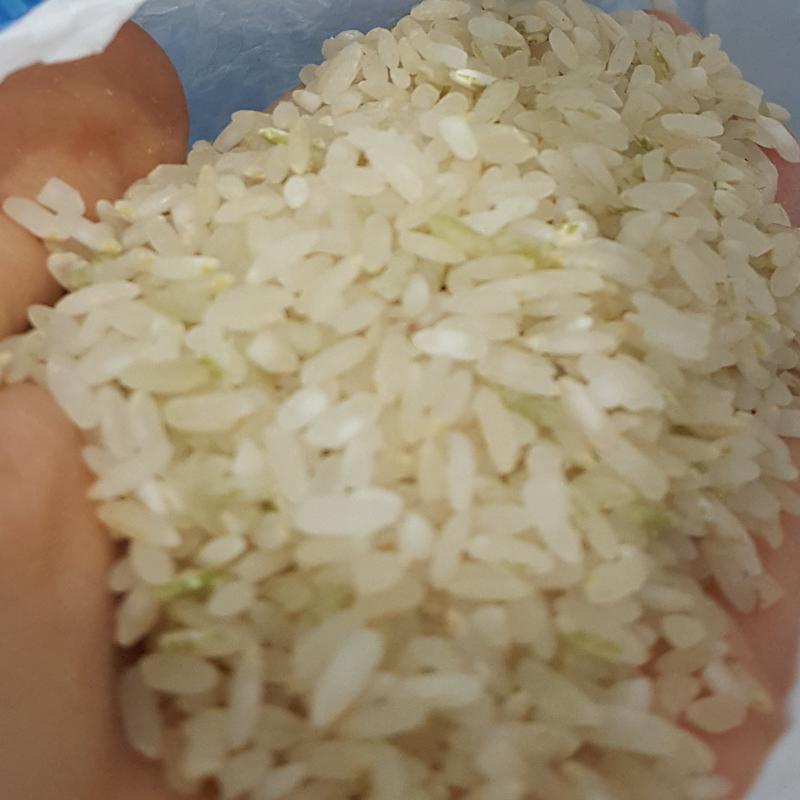 برنج لنجون ده کیلویی با عطر و پخت عالی  و ارسال رایگان