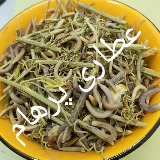 بخور اظافر الجان