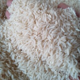 برنج هاشمی  10کیلو یی(فوق اعلا)محصول آستانه اشرفیه ارسال رایگان  