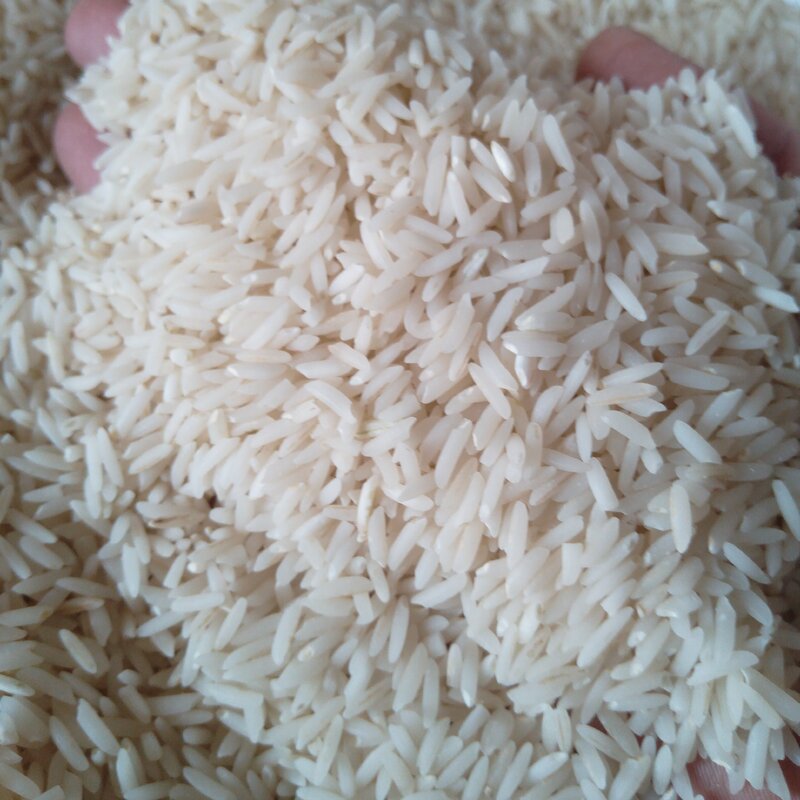 برنج هاشمی  50کیلو یی(فوق اعلا)محصول آستانه اشرفیه ارسال رایگان  