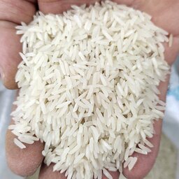 برنج ضیغمی خوش پخت صددرصد ایرانی قیمت نصف برنج هاشمی با رضایتمتدی مشابه هاشمی