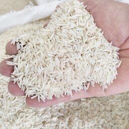 برنج دشتی ایرانی بسیار خوش پخت و خوش عطر 10 کیلویی