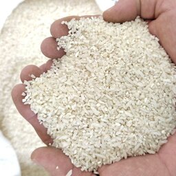 برنج نیم دانه هاشمی با کیفیت و به صرفه 10 کیلویی