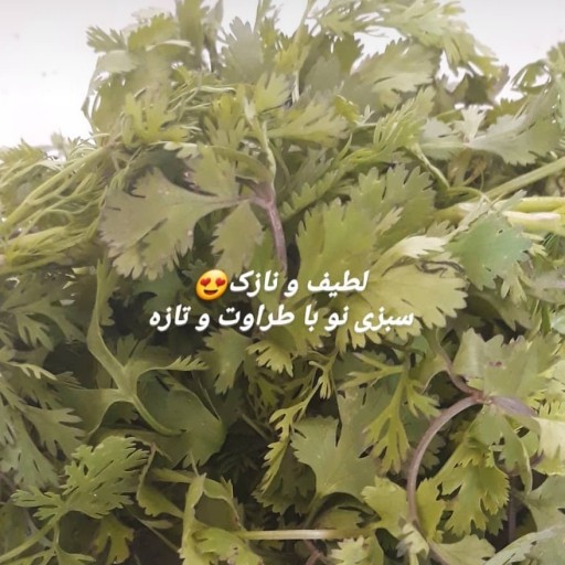 سبزی خورشتی سرخ شده یک کیلویی