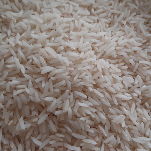 برنج هاشمی 10 کیلویی