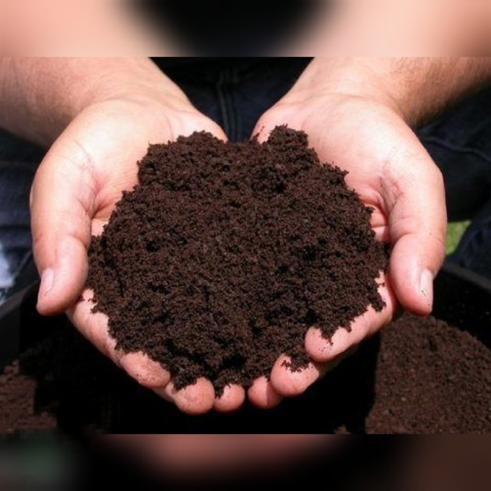 خاک پیت ماس کیفیت عالی (پس کرایه)