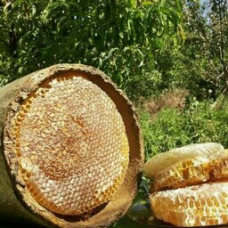 عسل خودبافت  1500 گرم (موم کاملا طبیعی)