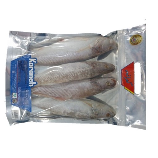 ماهی شوریده (500گرمی)