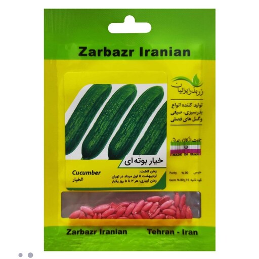 بذر خیار بوته ای زر بذر ایرانیان