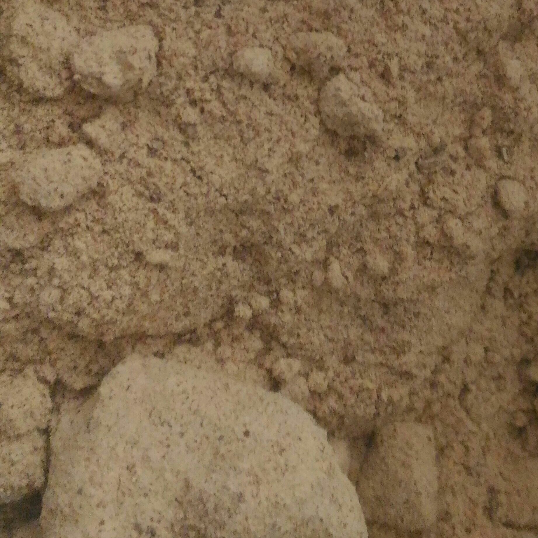 پودر سنجد درجه یک