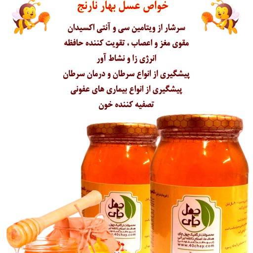 عسل بهارنارنج اصل (650 گرم)