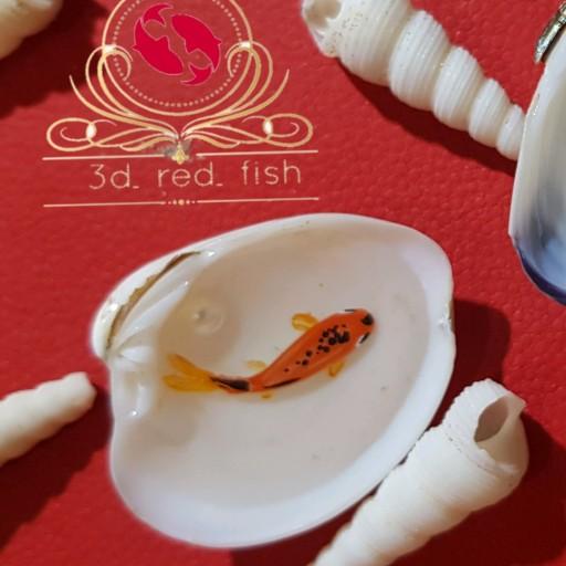 ماهی سه بعدی در صدف