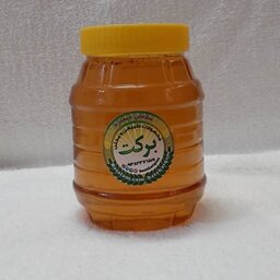 عسل طبیعی خالص گشنیز(یک کیلویی)