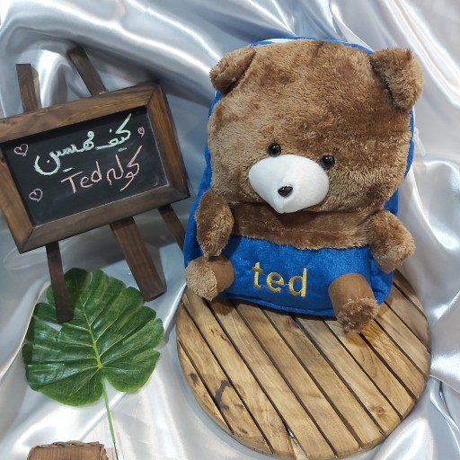 کوله بچگانه خز خارجی TED