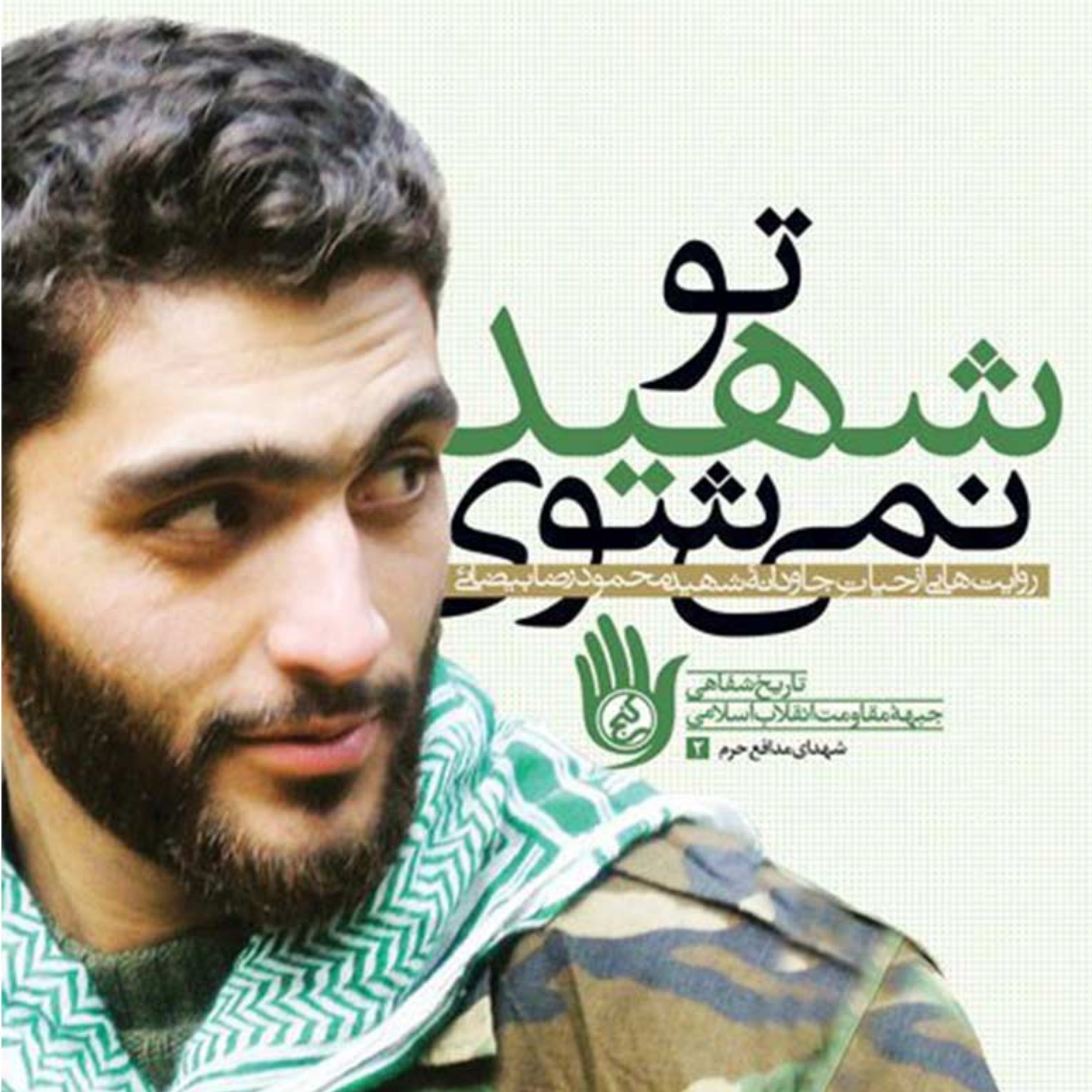 کتاب تو شهید نمی شوی، شهید محمودرضا بیضایی از مدافعان حرم