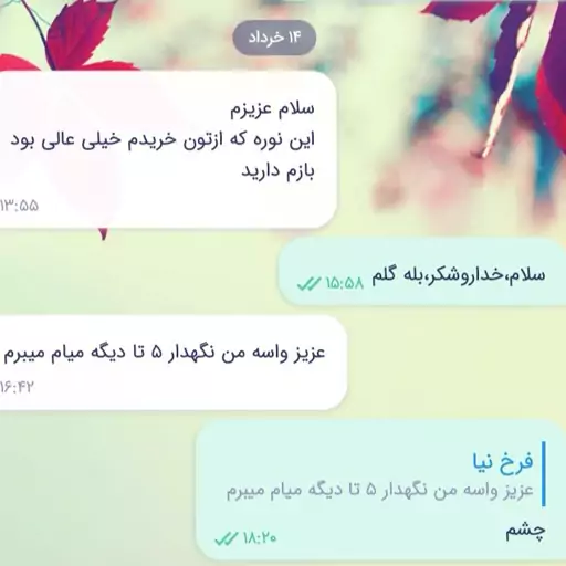 نوره طلایی2