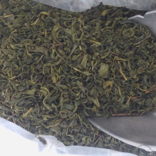 چای سبز تازه بهار 1400