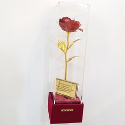 گل رز طلایی قرمز،هدیه ،باکس ،لاکچری ،ولنتاین،،