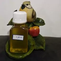 روغن گل ختمی ارگانیک گلستان(60 سی سی) 