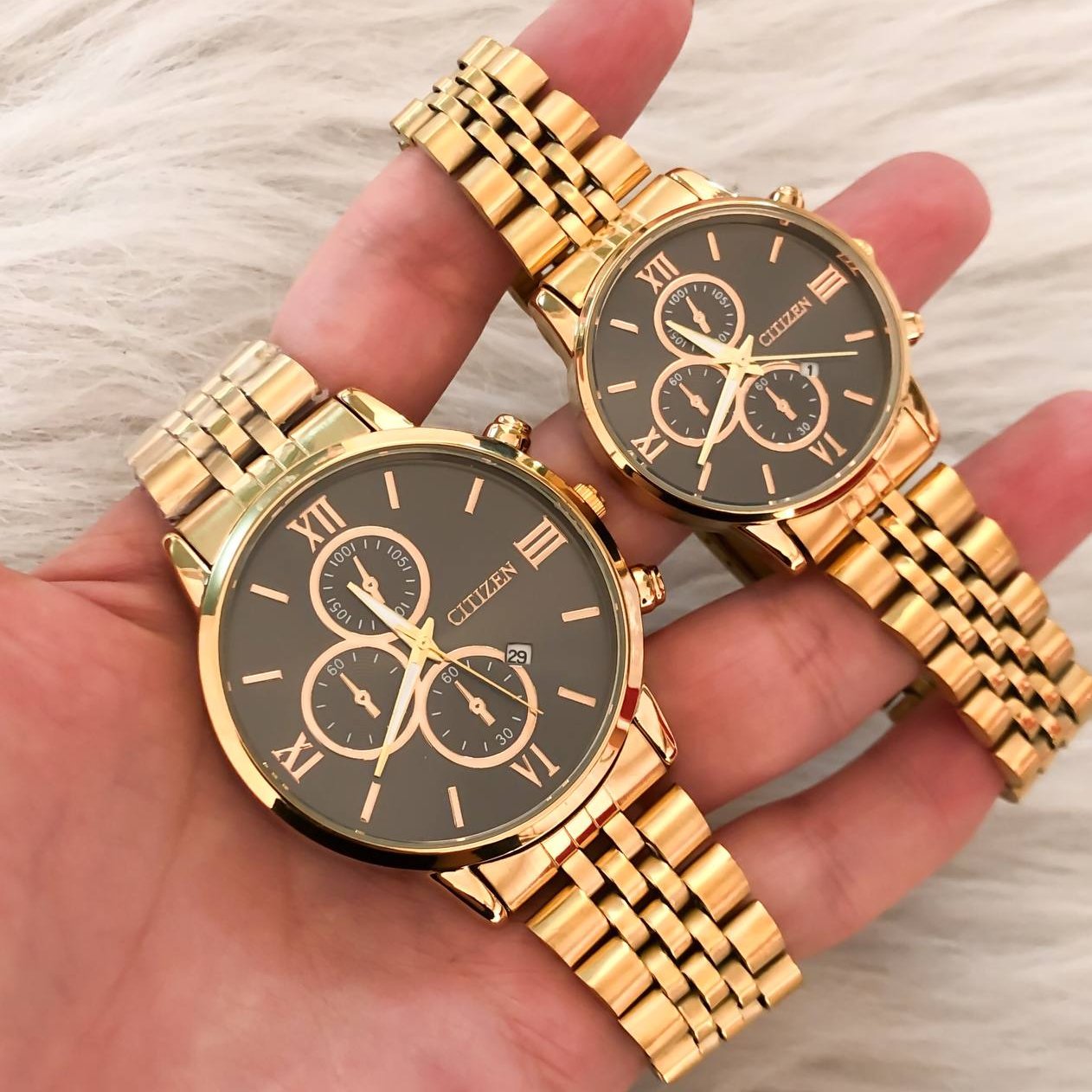 ست سیتیزن ،رنگبندی خاص و چشم نواز 