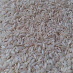 برنج عنبربو 5کیلویی