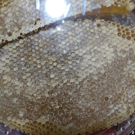 عسل کاملاطبیعی باموم موجوددرظروف1/5کیلویی محصولی ازمزارع شهرستان ارومیه