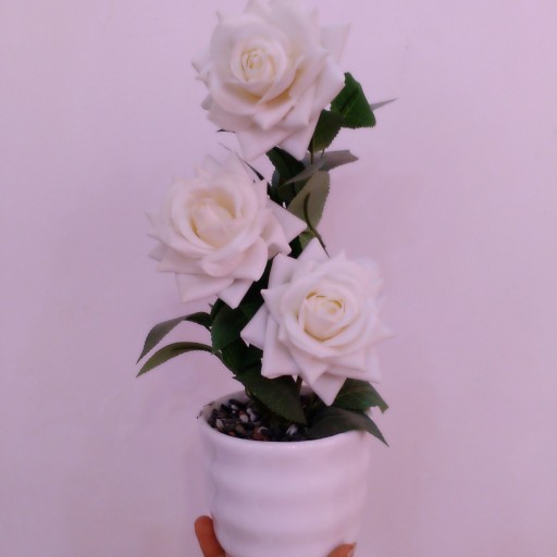 گلدان رز سفید