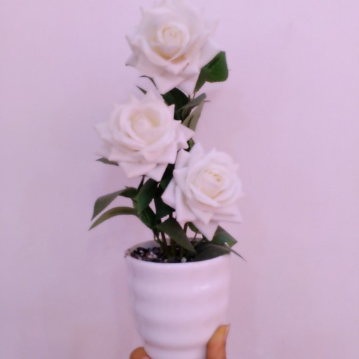گلدان رز سفید
