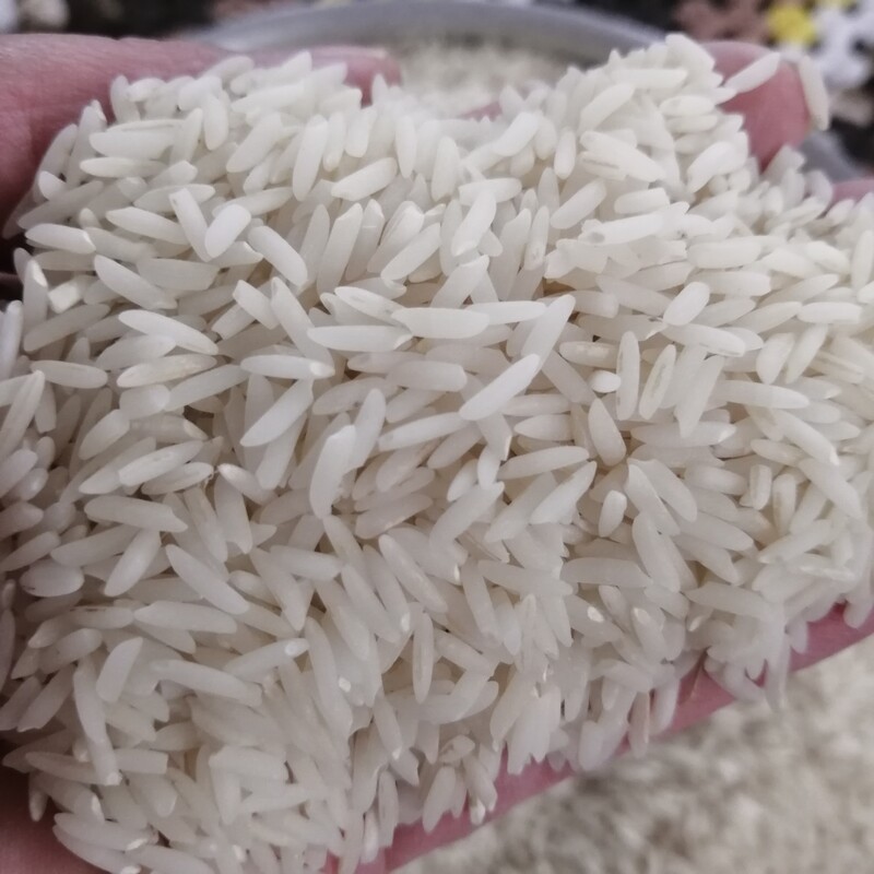 برنج هاشمی یک بار الک زده گیلان با پخت عالی پاک شده با دستگاه سوتینگ در بسته های 2 کیلویی