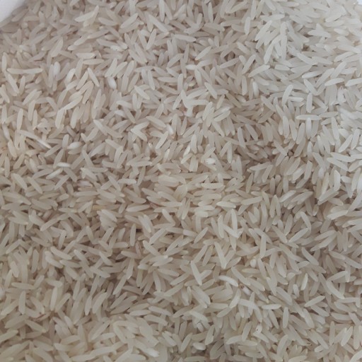برنج فجر ایرانی