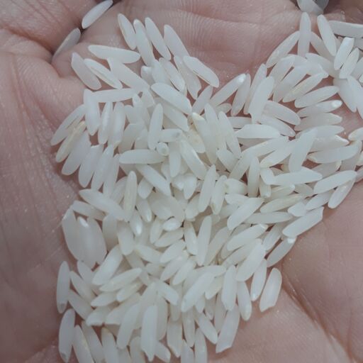 برنج فریدونکنار هاشمی گیلان ناظری کناری 5کیلوگرم ارسال رایگان