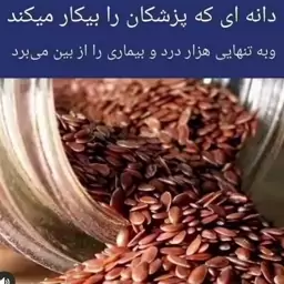 تخم کتان 