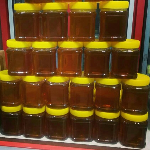 عسل طبیعی گون محصولی از دامنه های سبلان