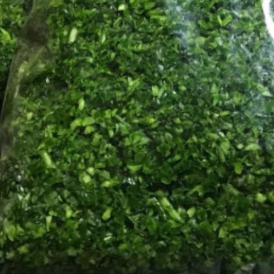 سبزی سوپی