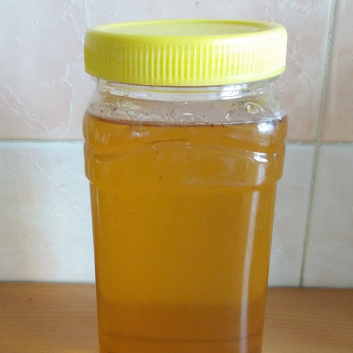 عسل طبیعی مرکبات _ آبرود (1کیلوگرم)