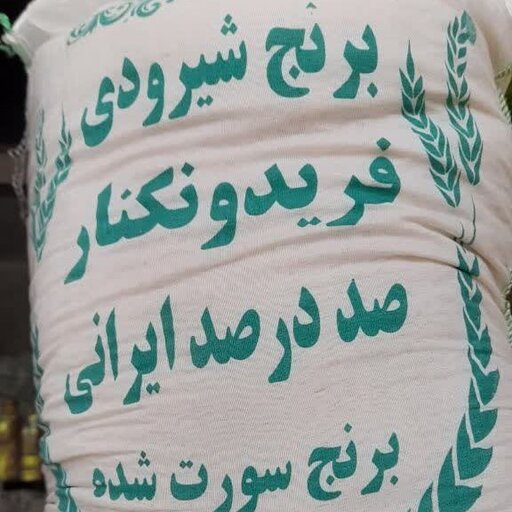 برنج ایرانی بذر شیرودی برداشت فریدونکنار دوبار سورت شده