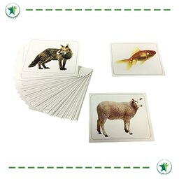 فلش کارت دیدآموز جانوران 1 انتشارات آموزش (گفتاردرمانی)(کاردرمانی)