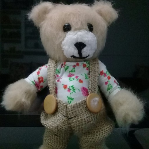 خرس پولیشی با لباس
