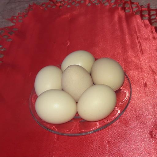 تخم مرغ محلی (هر عدد)