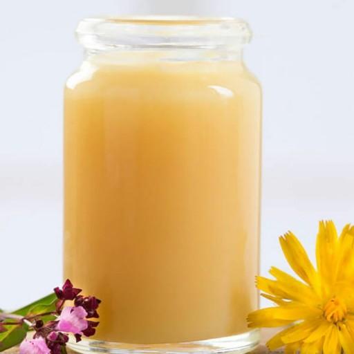 ژل رویال 10 گرمی عسل طبیعی تدین