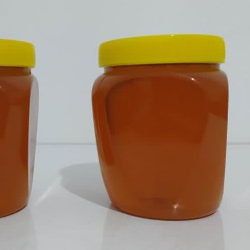 عسل پرورشی ساکارز یک
ظرف های یک کیلویی
برای افراد دیابتی و سالخورده
