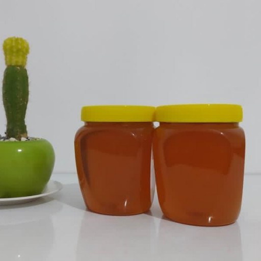 عسل پرورشی ساکارز یک
ظرف های یک کیلویی
برای افراد دیابتی و سالخورده