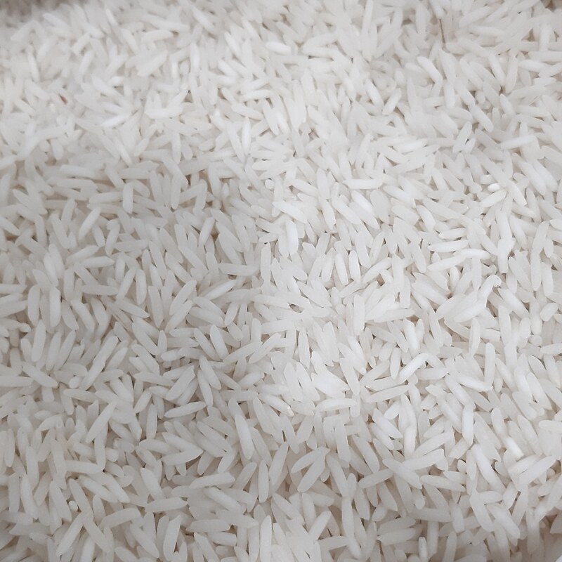 برنج شیرودی درجه یک و 10 کیلویی