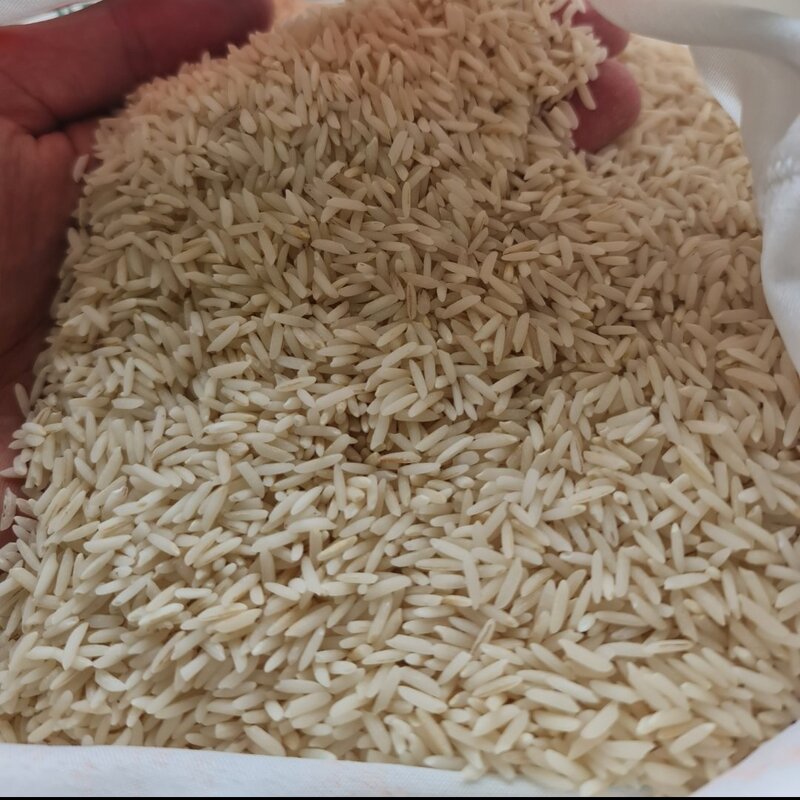 برنج هاشمی سه بار الک پارساله 10 کیلویی