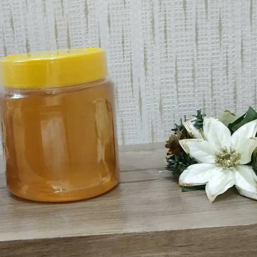 عسل طبیعی گون استان اصفهان با طعمی عالی و صدرصد طبیعی در بسته بندی نیم کیلویی