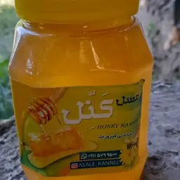 عسل طبیعی مرکبات ( 1 کیلوگرمی)