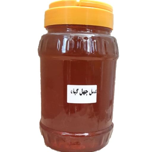 یک کیلو عسل چهل گیاه طبیعی با کیفیت عالی و تضمینی (محصول ارتفاعات شمال خراسان) 