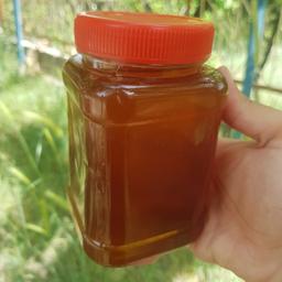عسل کنار طبیعی '1000 گرمی' (مستقیم از زنبور دار باسابقه)