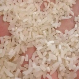 برنج سرلاشه فجر درجه 1  محصول امساله در کیسه های 20 کیلویی