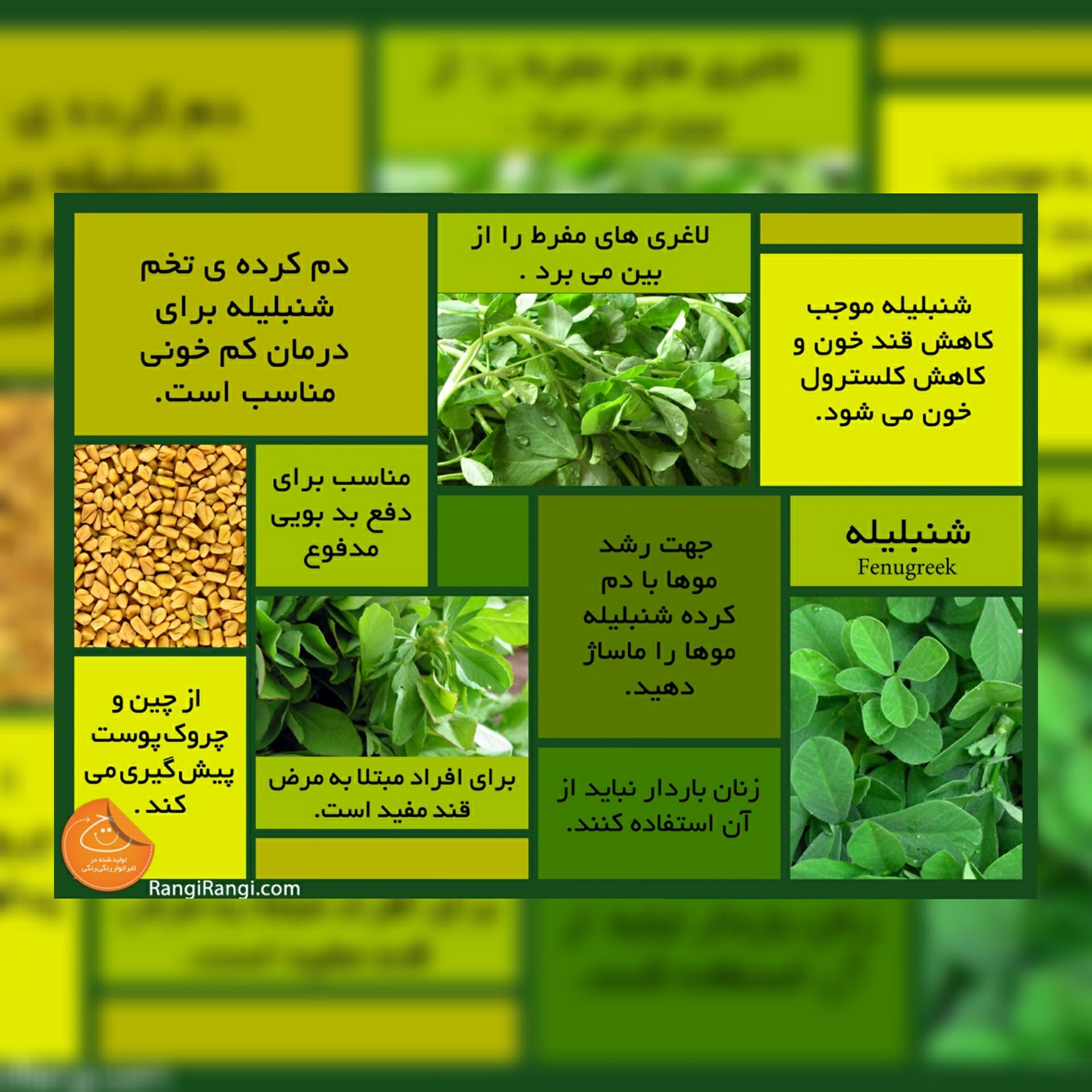 عرق شنبلیله خالص و درجه یک بیشه
